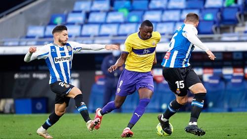 Qwick Betting: Guide to Fast-Paced Wagering